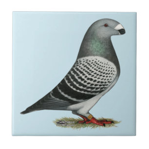 Carreau En Céramique Montrez à coureur le pigeon bleu de contrôleur