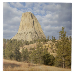 Carreau En Céramique Monument national de Devils Tower