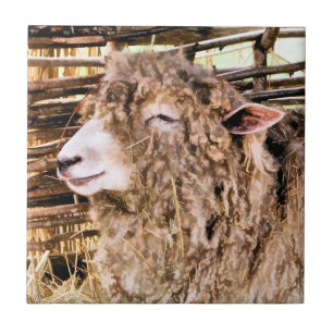 CARREAU EN CÉRAMIQUE MOQUETTE