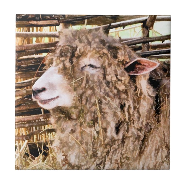 CARREAU EN CÉRAMIQUE MOQUETTE (Devant)