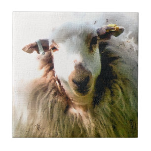 CARREAU EN CÉRAMIQUE MOQUETTE