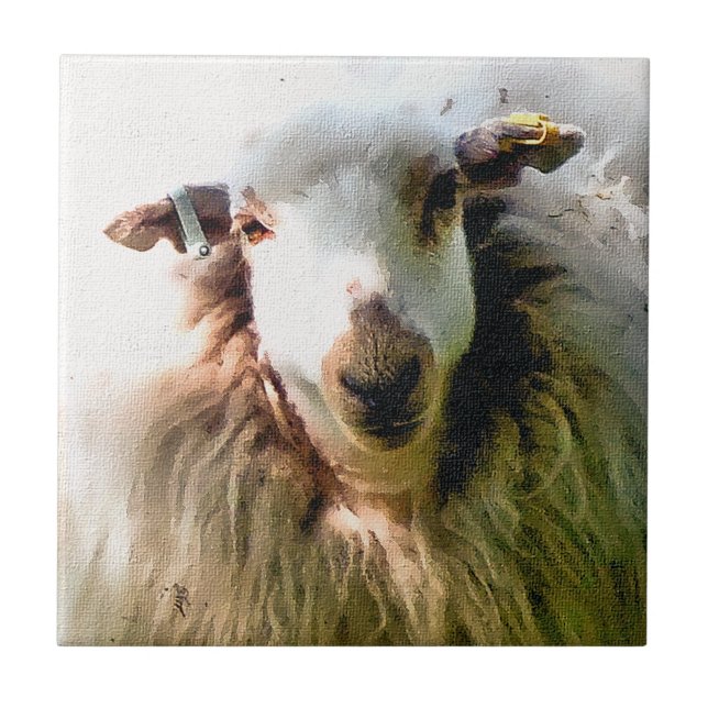 CARREAU EN CÉRAMIQUE MOQUETTE (Devant)