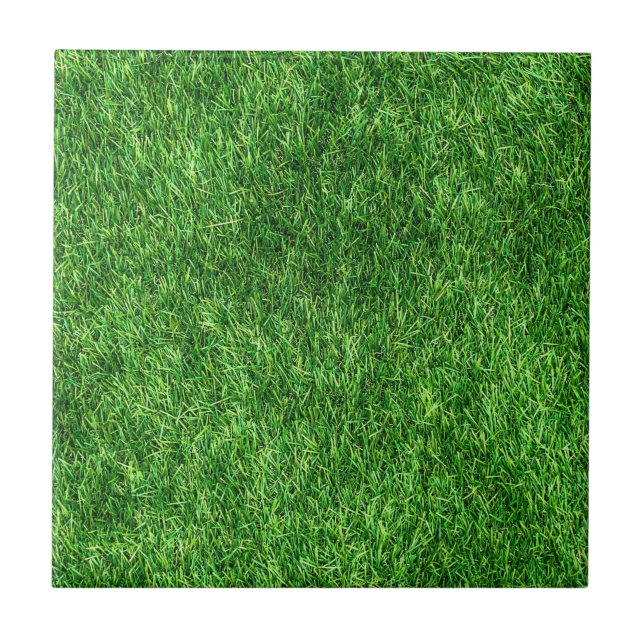 Carreau En Céramique motif à herbe verte (Devant)