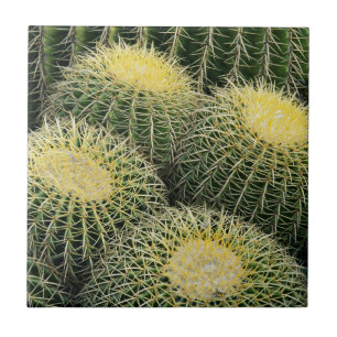 Carreau En Céramique Motif de cactus