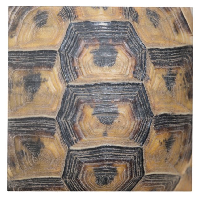 Carreau En Céramique Motif de la tortue (Devant)