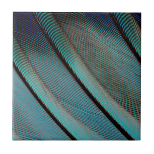 Carreau En Céramique Motif de plume bleue
