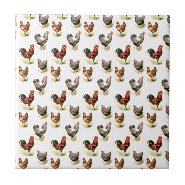 Carreau En Céramique Motif de poulet du pays (Devant)