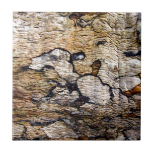Carreau En Céramique Motif d'écorce d'arbre
