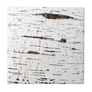 Carreau En Céramique Motif d'écorce de bouleau