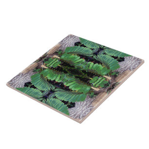 Carreau En Céramique Motif en carton Palm