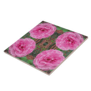 Carreau En Céramique Motif rose