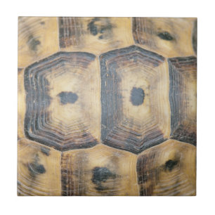 Carreau En Céramique Motif Tortoise Shell