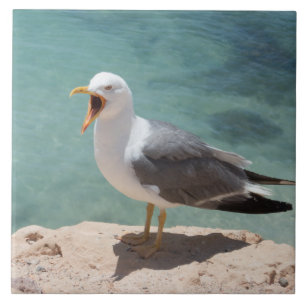Carreau En Céramique Mouette