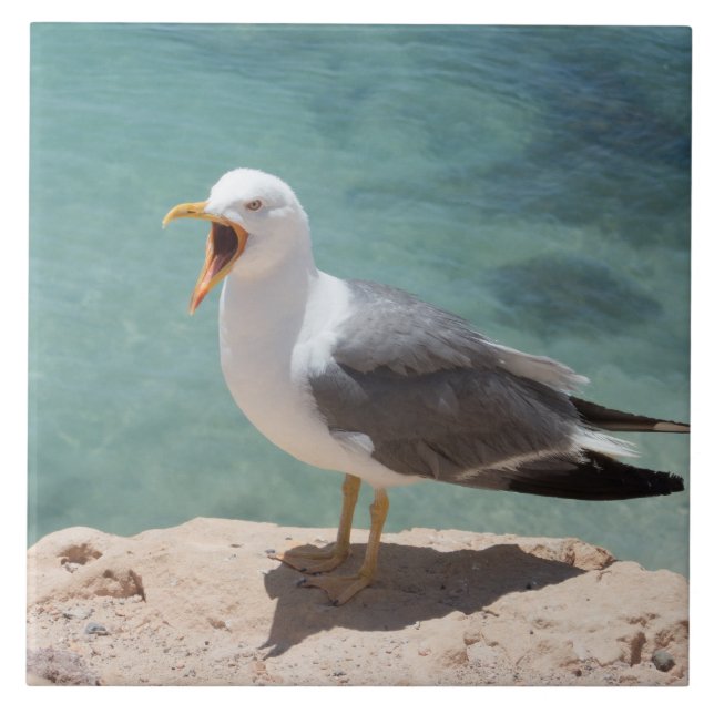 Carreau En Céramique Mouette (Devant)