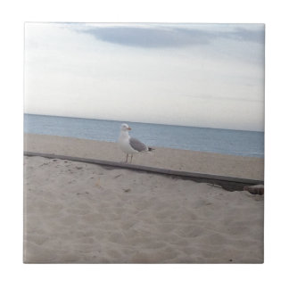 Carreau En Céramique Mouette sur la plage