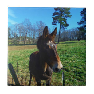 Carreau En Céramique Mule Brown et blanche