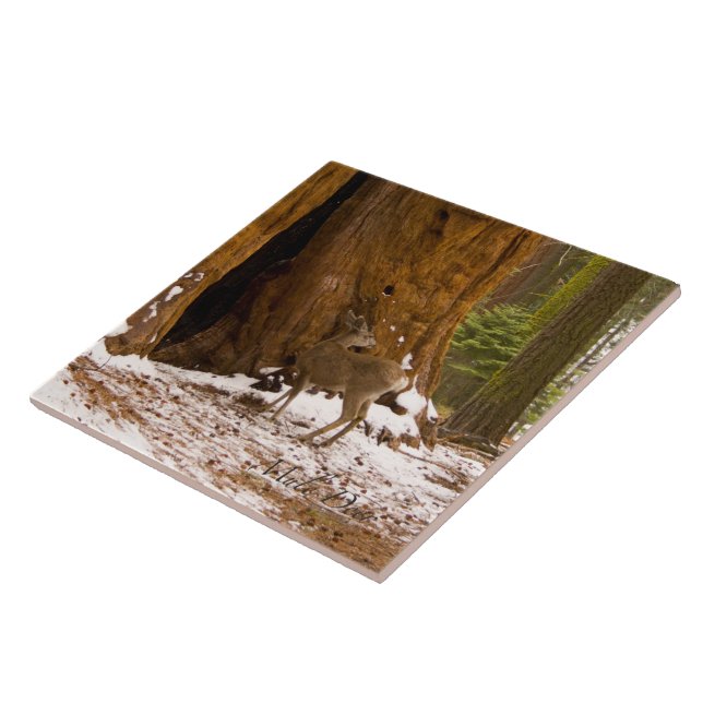 Carreau En Céramique Mule Deer (Côté)