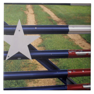 Carreau En Céramique N.A., États-Unis, Texas, lac Buchanan, drapeau du
