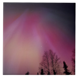 Carreau En Céramique NA, États-Unis, Alaska, Fairbanks. Rideaux de pour