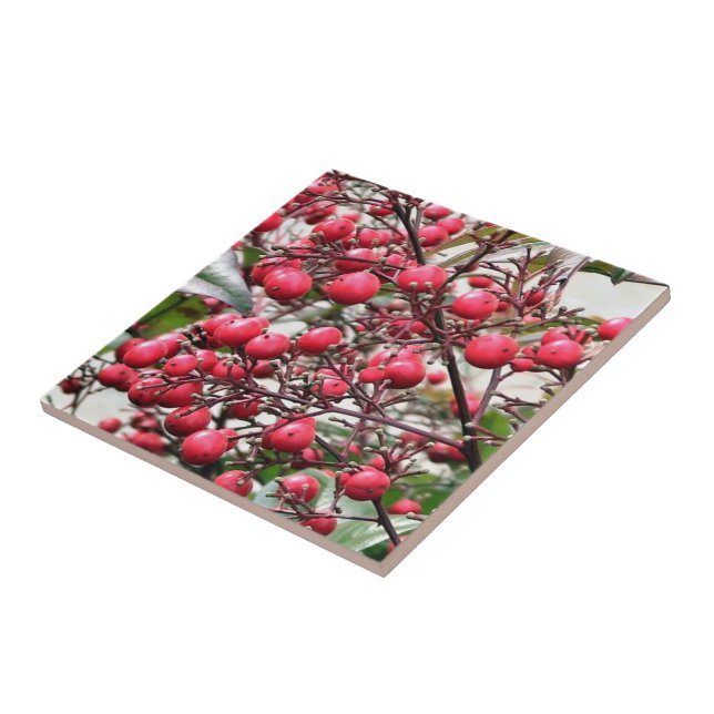 Carreau En Céramique Nandina buisson avec les baies mûres rouges (Côté)