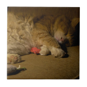 Carreau En Céramique Nap de chat