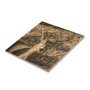 Carreau En Céramique nature Camouflage outdoor homme cerf blanc