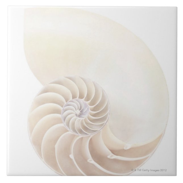 Carreau En Céramique Nautilus Shell (Devant)