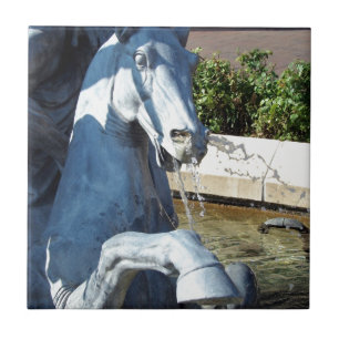 Carreau En Céramique Neptune's Horse, Plaza Fountain Detail