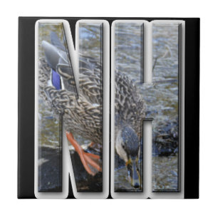 CARREAU EN CÉRAMIQUE NH NEW HAMPSHIRE