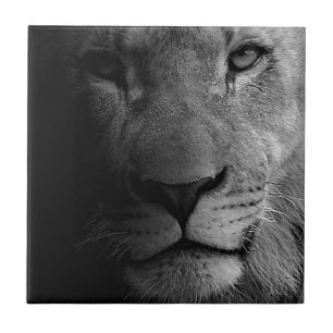 Carreau En Céramique Noir Blanc Motivation Leadership Lion Portrait