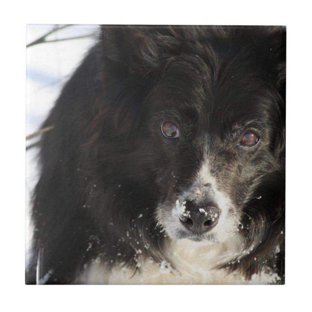 Carreau En Céramique non défini (Devant)