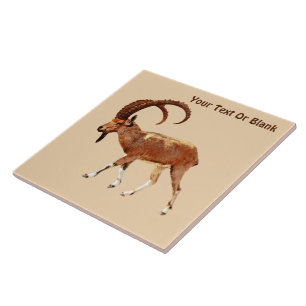 Carreau En Céramique Nubian Ibex - Ein Gedi