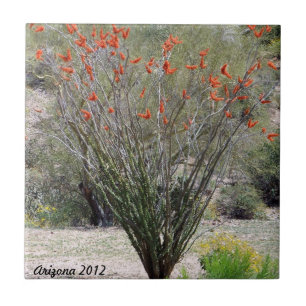 Carreau En Céramique Ocotillo de l'Arizona