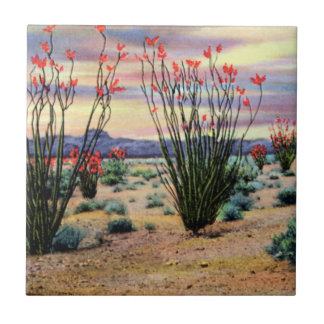 Carreau En Céramique Ocotillos de désert de l'Arizona en fleur