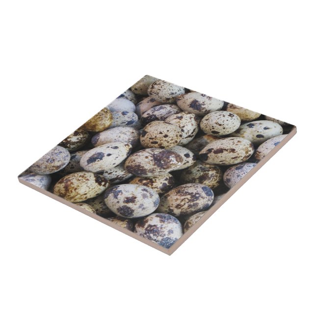 Carreau En Céramique Oeufs de caille (Côté)