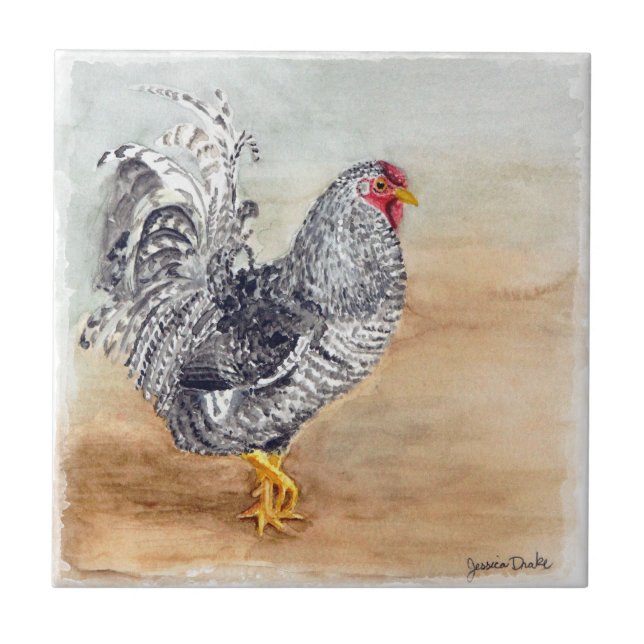 Carreau En Céramique Oeuvre d'aquarelle Dominique Chicken Rooster (Devant)