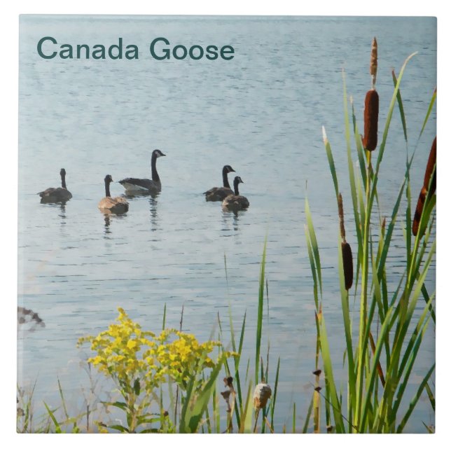 Carreau En Céramique Oies Et Cattons Du Canada (Devant)