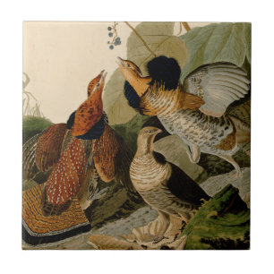 Carreau En Céramique Oiseau de gibier Audubon