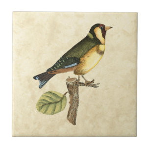 Carreau En Céramique Oiseau jaune et vert perché sur une petite branche