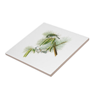 Carreau En Céramique Oiseaux crêtés Amérique de John James Audubon de