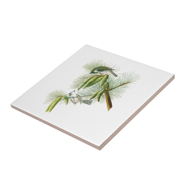 Carreau En Céramique Oiseaux crêtés Amérique de John James Audubon de (Côté)
