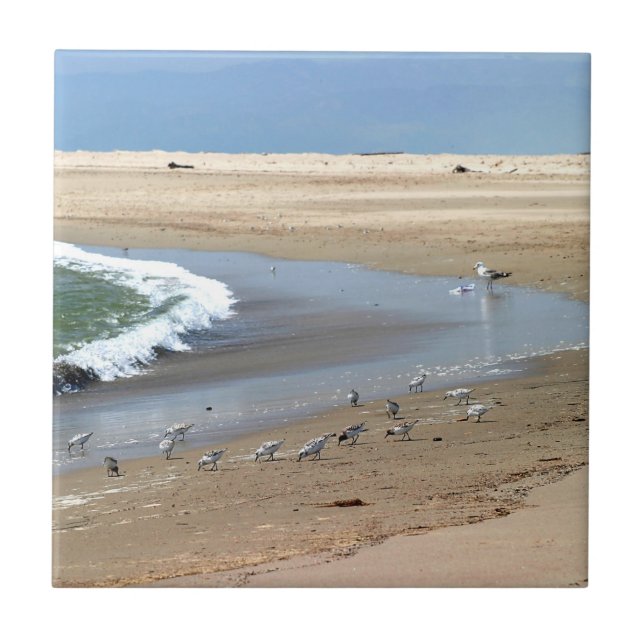 Carreau En Céramique Oiseaux de plage (Devant)