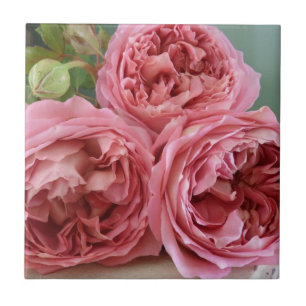 Carreau En Céramique Old-fashioned anglais d'héritage de roses de Davi