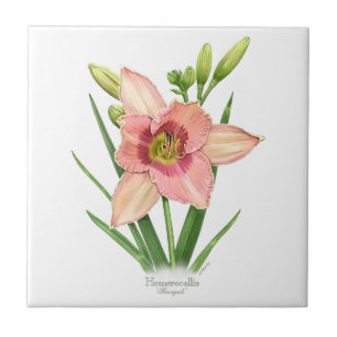 Carreau En Céramique Orange Daylily Botanical Art Style