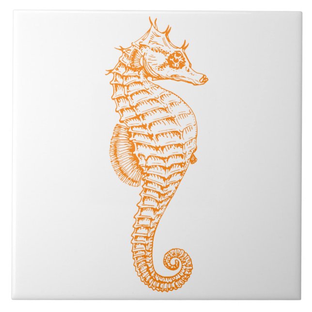 Carreau En Céramique Orange Seahorse (Devant)