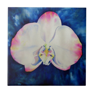 Carreau En Céramique Orchid rose Blush