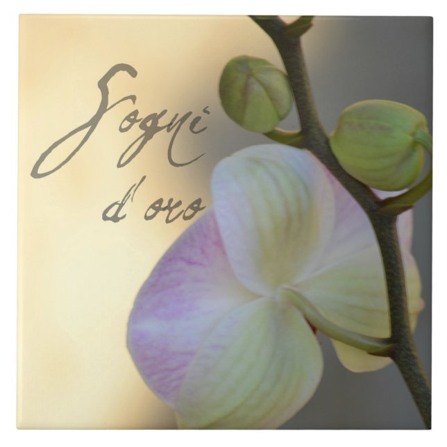 Carreau En Céramique Orchidée de Sogni D'oro (rêves doux) (Devant)