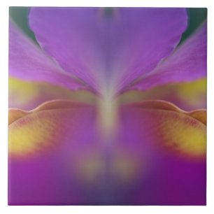 Carreau En Céramique Orchidée hybride, Floride 2