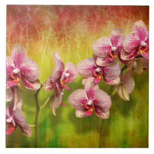 Carreau En Céramique Orchidée - Phalaenopsis - simplement un plaisir