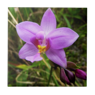 Carreau En Céramique Orchidée sauvage violette Fleur tropicale